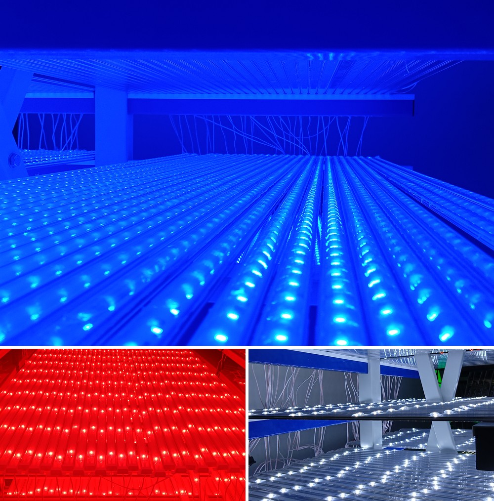 AVS LED tubes under burn-in testing on a rack